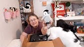 Catladybox Unboxing And Review January 21 Youtube Catladybox Unboxing And Review January 21 Youtube