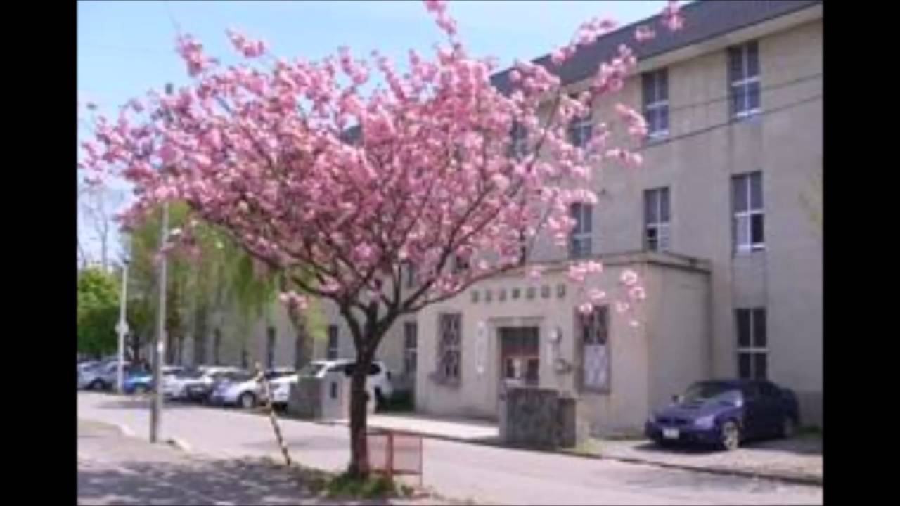 アレンジとは 函館市立的場中学校校歌_修正版