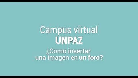 Campus virtual: ¿Cómo insertar una imagen en un foro? #UNPAZ