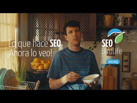 When you realize | What SEO does... now I see it! - video from SEO/BirdLife