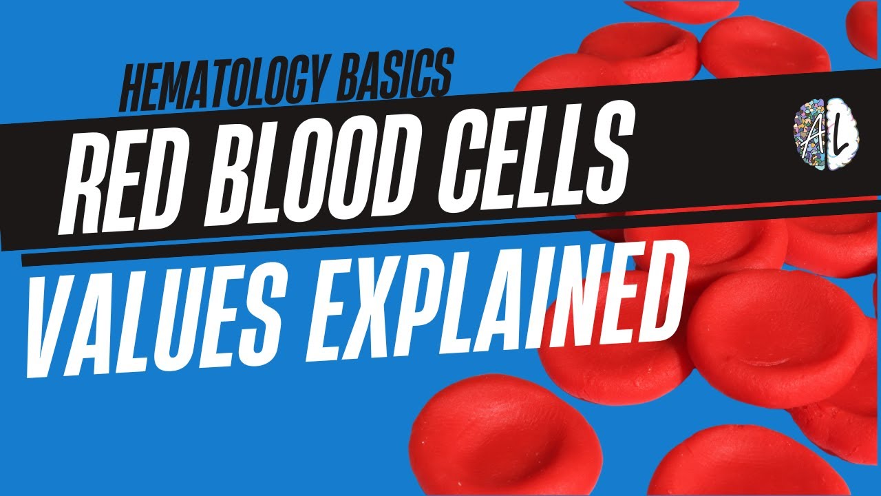 Red Blood Cell Values Explained | Normal Ranges, RBC Tests & What They ...