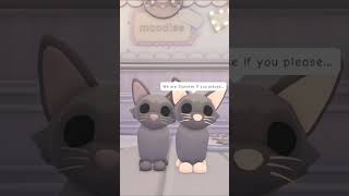 We Are Siamese if You Please #roblox #adoptme #shorts