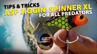 Spro - Tips Tricks For Fishing With Asp Spinners