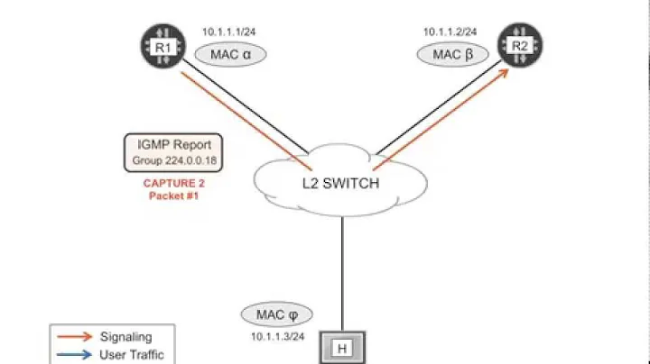VRRP, the Virtual Router Redundancy Protocol, explained by Juniper Engineers - DayDayNews
