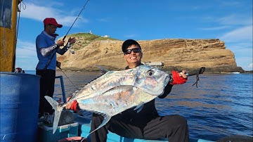 Lần đầu lên cá bè lão 7kg | câu jigging phú quý 2025