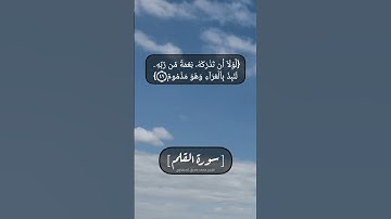 سورة القلم الآية ٤٨ الى ٥٢ بصوت الشيخ محمد صديق المنشاوي