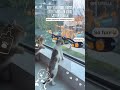Windows Toy🐯❤️ #cat #pets #funny #viral #foryou #fun #cats #catvideo