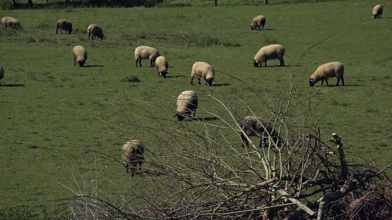 Plodovi zemlje, 3. kolovoza 2025.