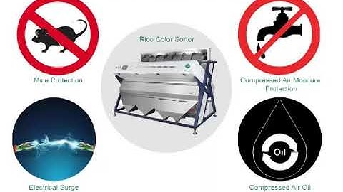 Prime Sort, Color Sorter