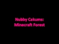 Nubby cakums  minecraft forest song
