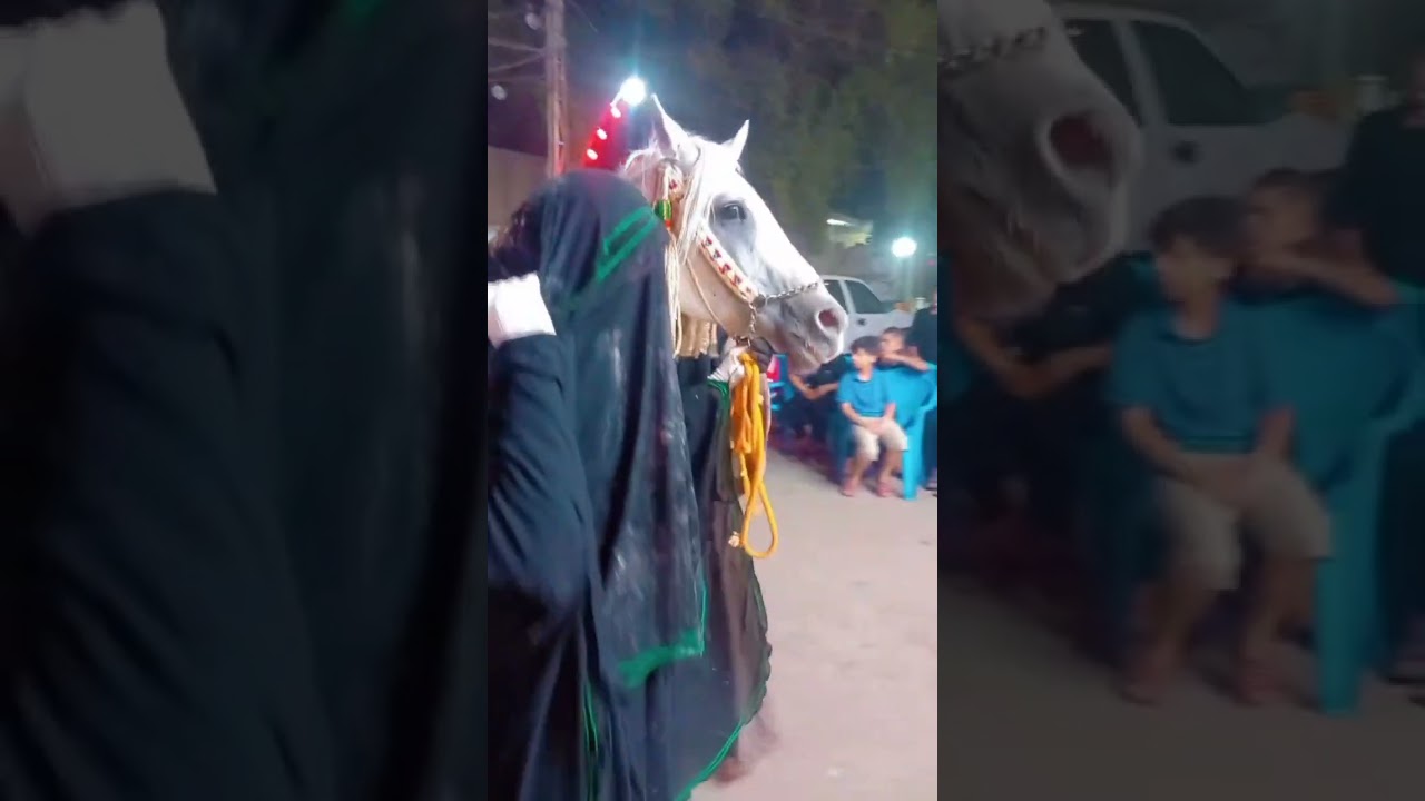 قناة سجاد ديثان 