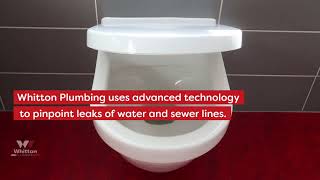 Leak Detection And Repair In Mesa | Whitton Plumbing 5 Star Review