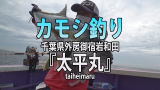 太平丸・千葉県御宿岩和田港「大物を魅了！伝統釣法カモシ釣り」