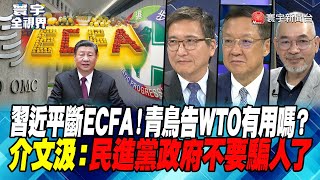 P2 習近平斷ECFA！青鳥告WTO有用嗎？ 介文汲：民進黨政府不要騙人了【#寰宇全視界】 20240601｜@globalvisiontalk