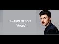 Shawn Mendes - Roses (lyrics)