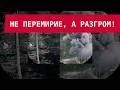 КОНЕЦ ПЕРЕМИРИЯ: ВСУ УСТРОИЛИ АД НА КЛЮЧЕВОМ НАПРАВЛЕНИИ!