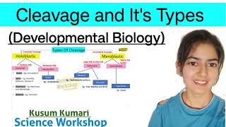 Cleavage and Its Types | Cleavage Pattern |Developmental Biology | BSc | By Kusum | Science Workshop