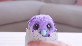 burtle hatchimal