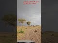 للطيب عبس اقرب من الموت للنفس وأسرع من بروق الحياء في سماءها