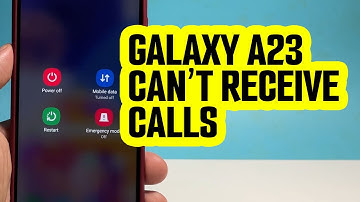 Samsung Galaxy A33 Can