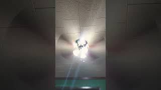 1,00000000000000000000000000 Uf Cap