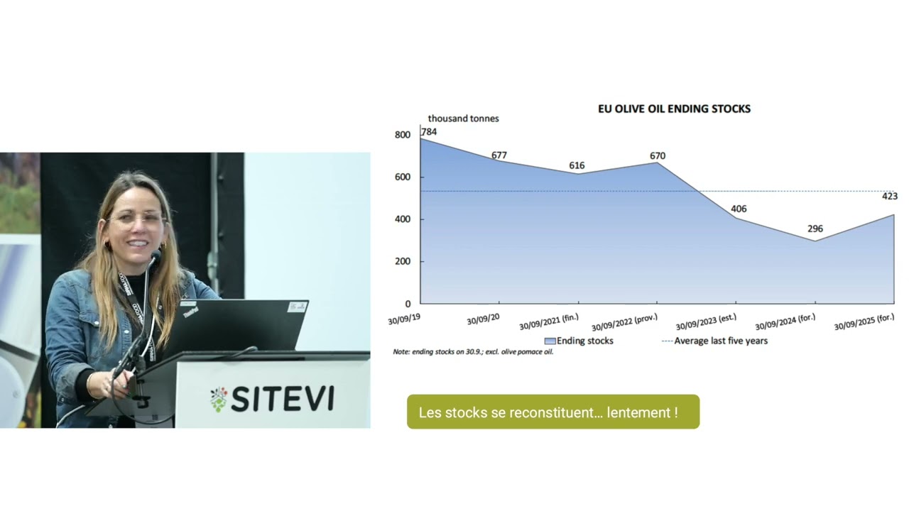 Le marché français de l’huile d’olive : réalités, opportunités et limites