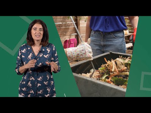 Avance de contenidos