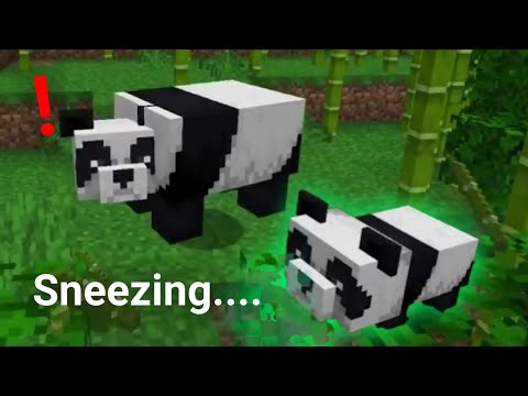 Baby Panda Sneezing 🐼..... (Minecraft VS Real Life) - YouTube