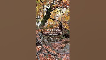 سورة لقمان مليئة بالحكمة والنور الإلهي. استمع إلى كلمات القرآن، وتأمل في معانيها، وشاركها مع من تحب