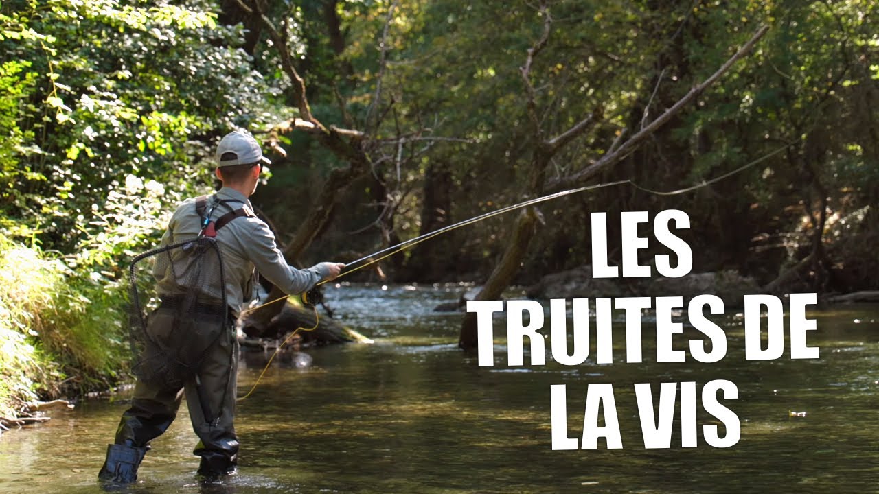 Pêche des truites à la mouche sur la Vis avec Tanguy Grandmougin