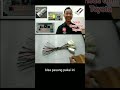 Solusi Cerdas agar Tidak Kupas/Potong Kabel Ori Mobil