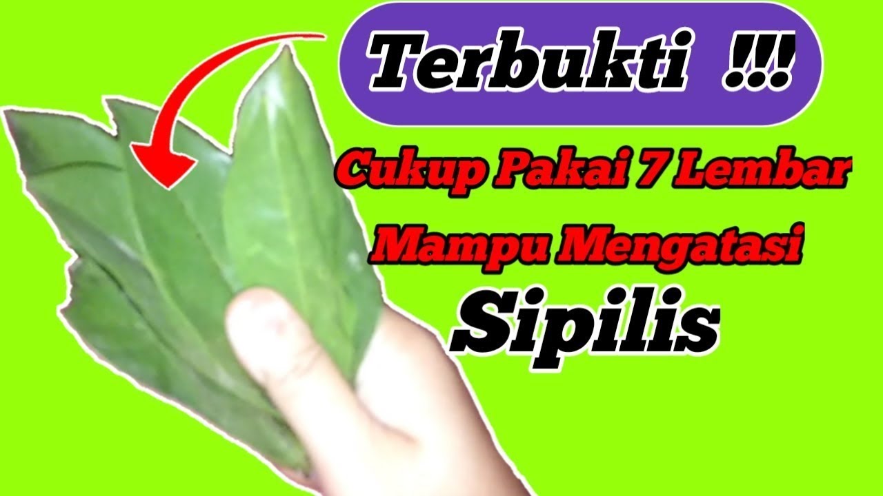 Tak Usah Gelisah Lagi !!! Cara Mengobati Sipilis Secara Alami | Obat