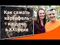 Как посадить картошку на даче Посадка картофеля под плоскорез