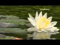 GIOVANNI MARRADI - Summer love