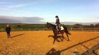 Ruby working on canter transitions