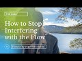 How to stop interfering the flow of abundance - The HUB27