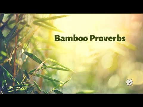 Bamboo Proverbs