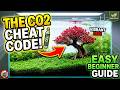 How to Build a Stunning Planted Tank (The CO2 "Cheat Code" Revealed!)