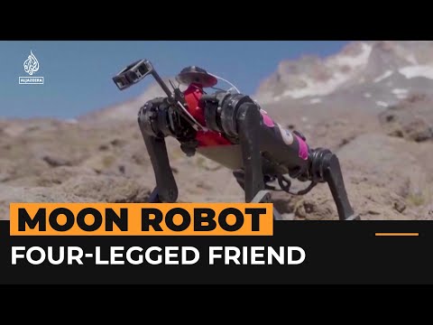 Four-legged “dog robot” could walk alongside humans on the Moon | Al Jazeera Newsfeed