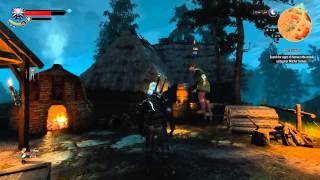 The Witcher 3: Wild Hunt - NPC levitation bug