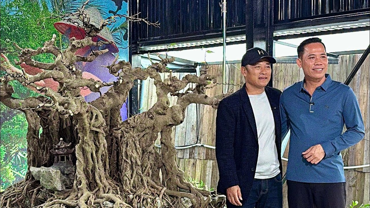 Chuyện nghệ nhân số 6 Phương pháp phạm Thuỳ- người giữ mạch năng lượng của cây | Quảng Tùng