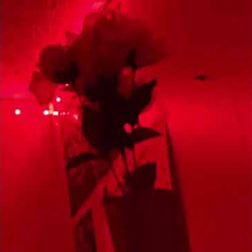 Smoke it out (full song on sound cloud @ Lia Liaaa)