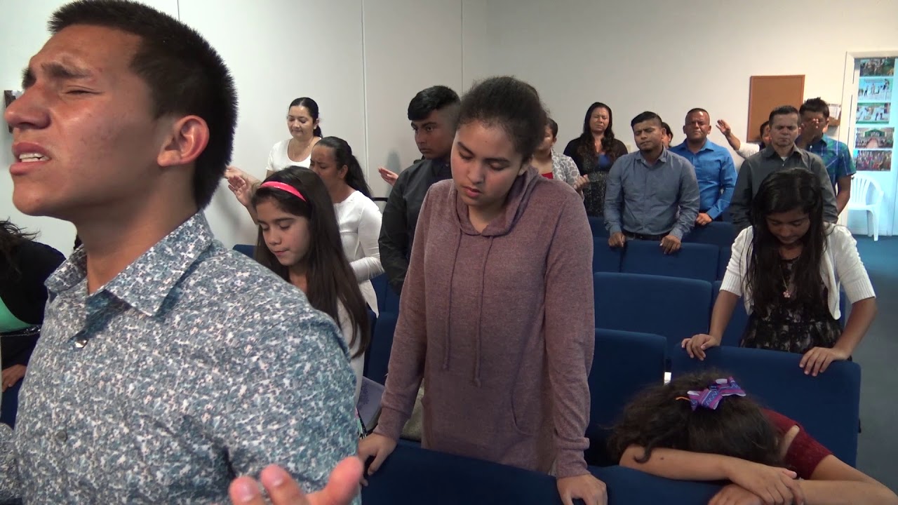 Como Estas Tu Verde o Seco camera iphone 8 plus apk