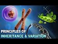Principal of inheritance and variations Part 2 🧬#class12 #neet