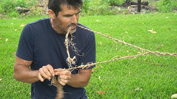 How to make BARK ROPE from a tree