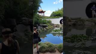 Chinese Garden By Zinjutsu Kung Fu