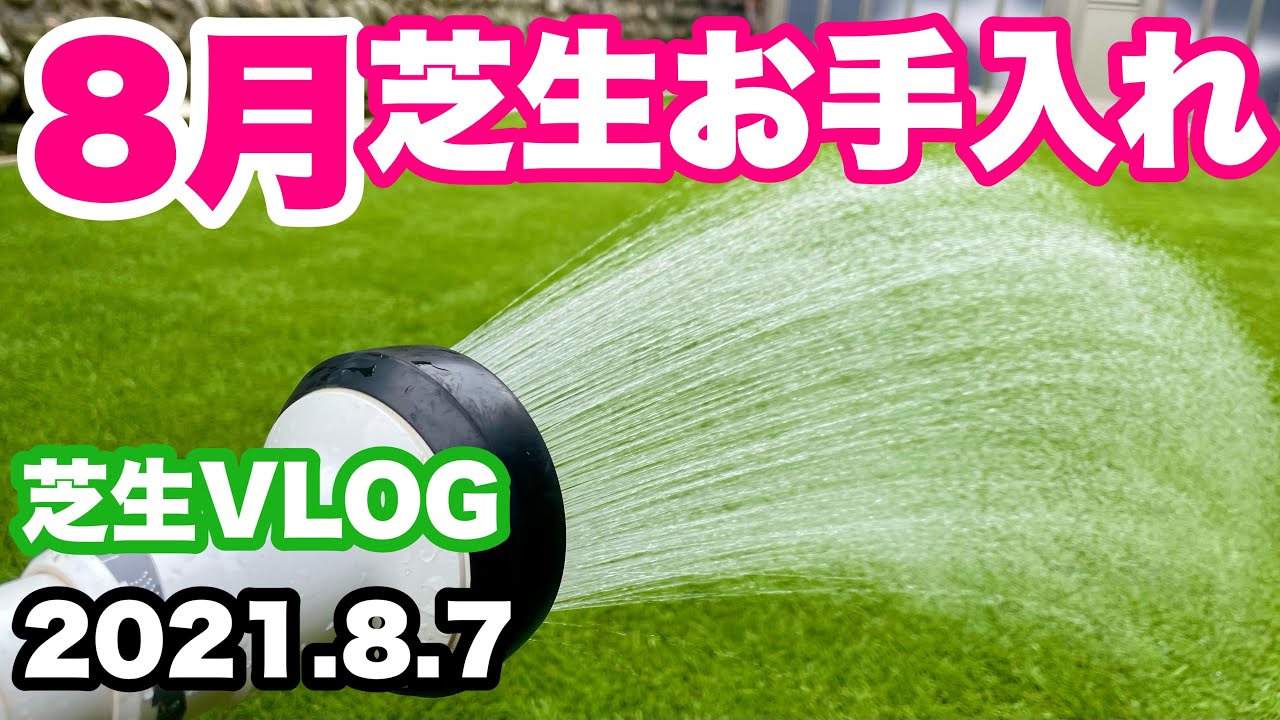 8月の芝生お手入れをご紹介 芝生の夏の水やりはたっぷり 芝生vlog Youtube