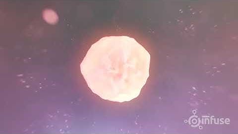 infuse medical   fetal development 3d animation