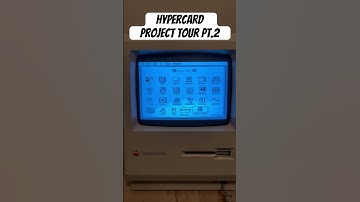 Part 2 of my HyperCard project and my loud cat! #apple #basicprogramming #retro #macintosh #cat