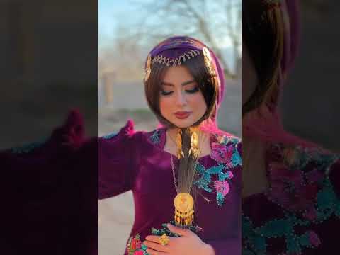 Al Shami Dwali Official Music Video 2024 الشامي دوالي